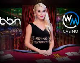 赏金国际vip登录入口电脑免费版